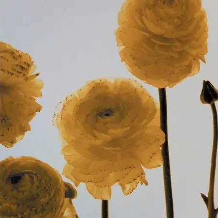 Panzió @edengate 4*