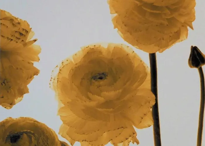 Bed & Breakfast @edengate 4*